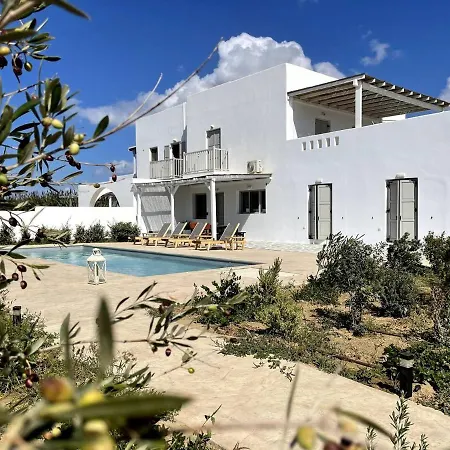 White Pearl Naxos With Private Swimming Pool Villa